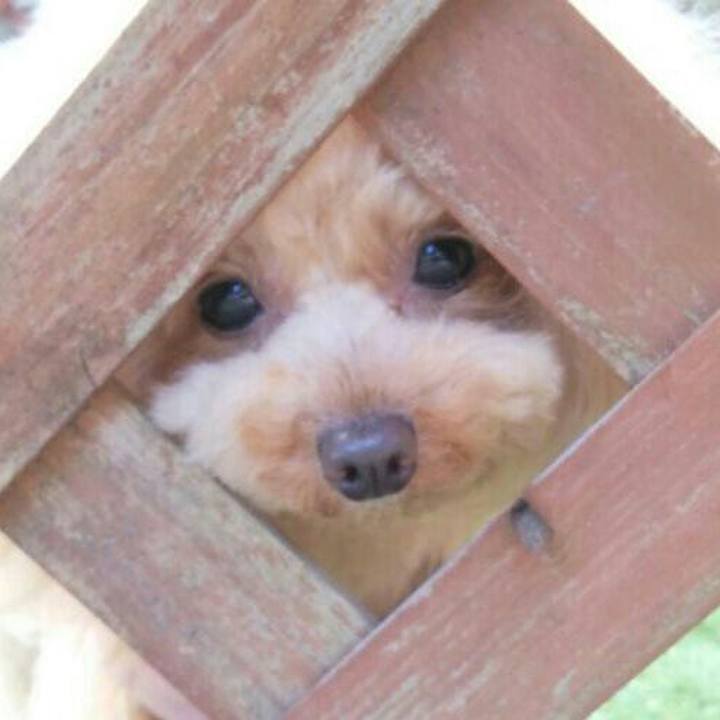 389bb7b9 e143 4dda 8540 2284ec43bc74 1553513971603