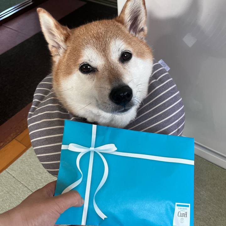 389c1180 4b59 4e00 94da b5c24a54b792 1690177562459