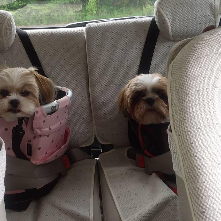 389c163d 2b85 410b 8c28 ba1860e2ae6e 1591489253280