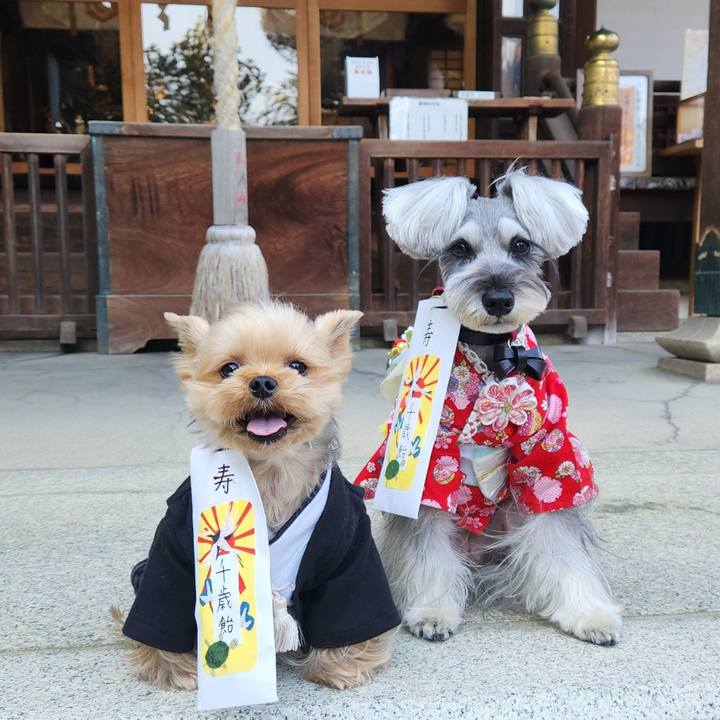 389c2a12 2462 4d27 8e1e 45558ef937f4 1763014414805