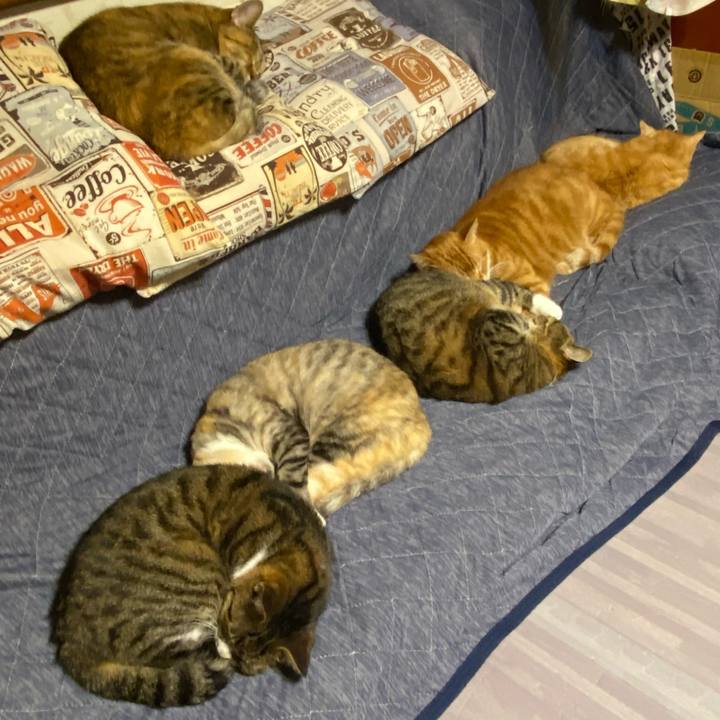 389c2f8c 9eb2 4f7b 87a4 b54c9ff1d7b0 1618569912529