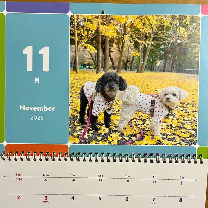 389c4f69 50b4 4a45 aaa0 abab0331acbf 1761985158617