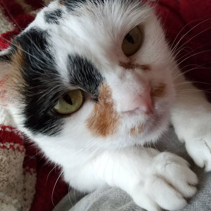 389c519b 6564 4f92 9b7f 1da23960ba5d 1595050509339