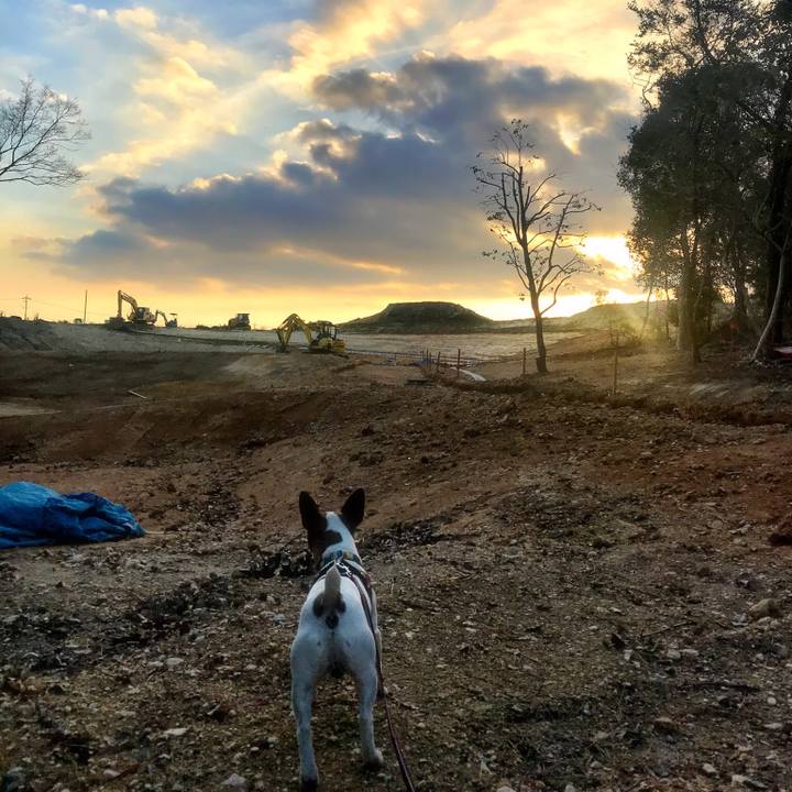 389c6a88 2f30 439d 9d78 baa05eef214b 1520164780084