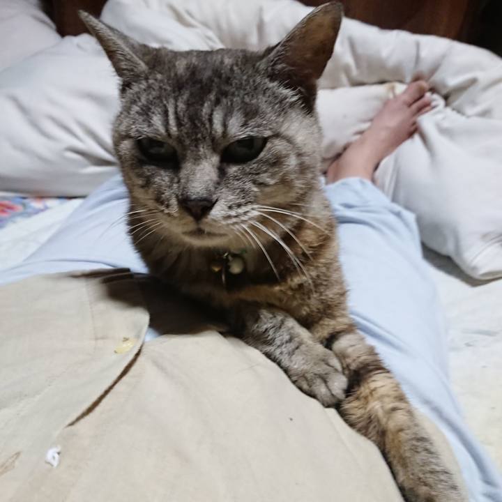 389c74e0 a7a1 49b4 b987 737a702c3a37 1567079332951