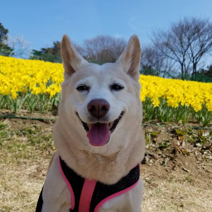 389c9159 861d 4704 8b5a 8deee6f5716a 1583148764582