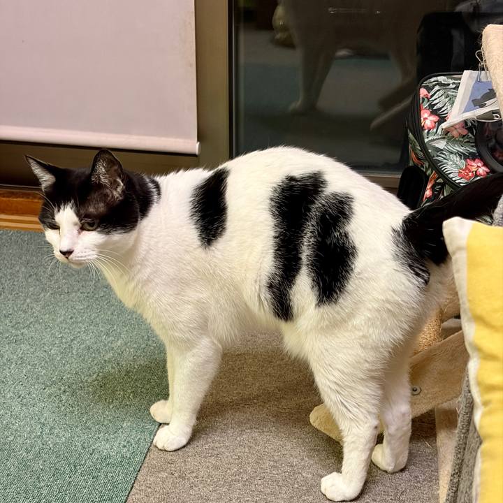 389c9a41 5ed0 4c57 a04e e66be70002e1 1764689131855