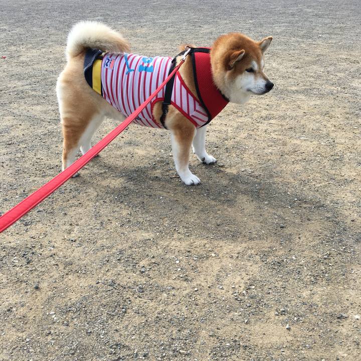 389cb022 c05c 4000 8a3d 7c904ecfffe1 1596412131325