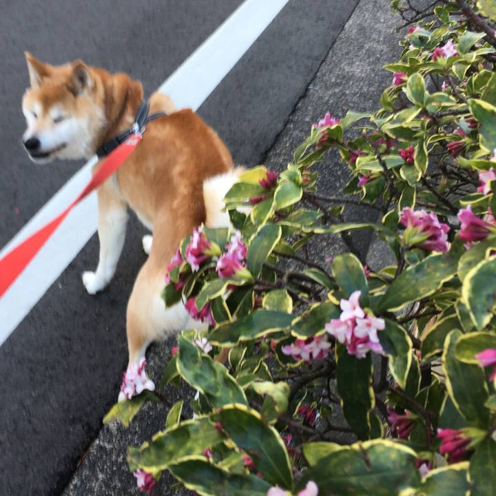 389cbbe4 34c2 4d2a 9a56 14df4fd354e6 1582452306375