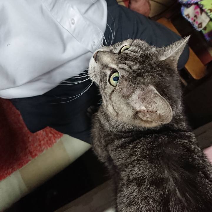 389ce05e 6079 49ba a6a3 194d25b3f672 1557480375738