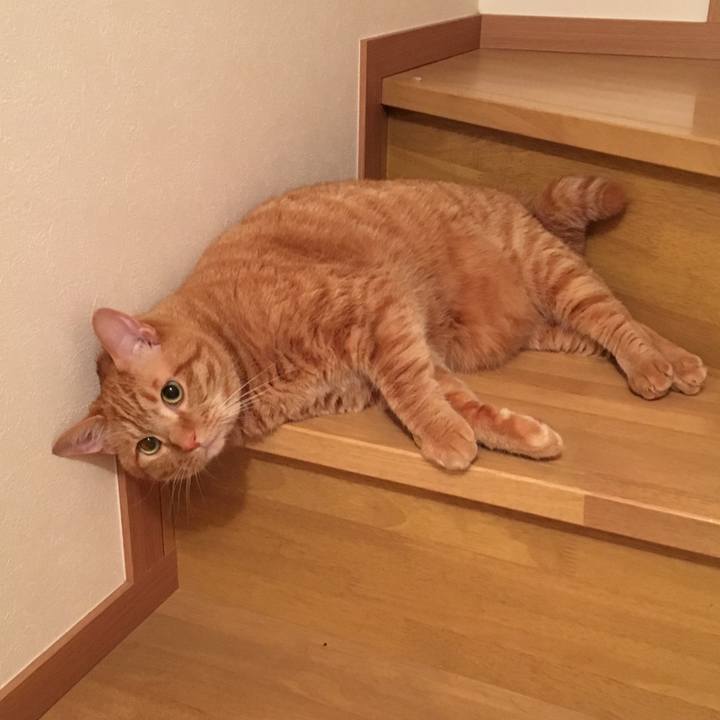 389d0e0e ecdc 4b14 8da4 a899e0d9d421 1561202693743