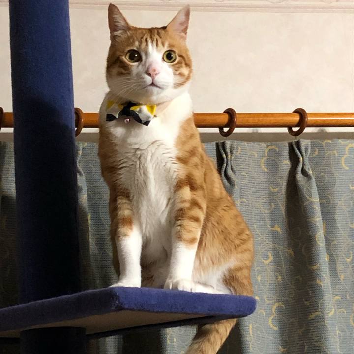 389d558a 46aa 4549 97af 883111877799 1555135670720