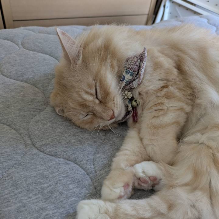 389d57f0 5b06 4643 a7c7 604c059241fb 1758582514256