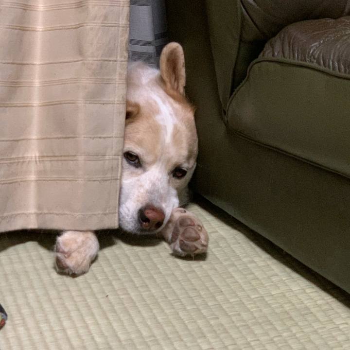 389d69bb edf9 497f 8a50 9c8facde1e68 1624539556452