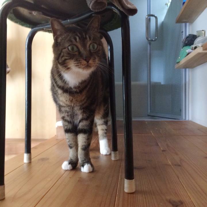 389d783e a710 456a 92d5 15a61e535cfb 1531871958577