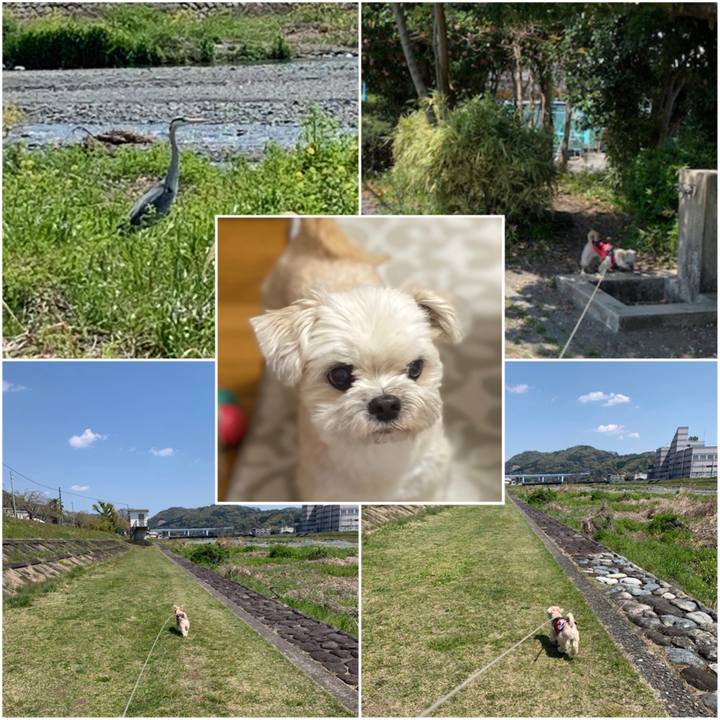 389d8c15 2725 4079 b201 0a4c2bf5f43e 1586441337610