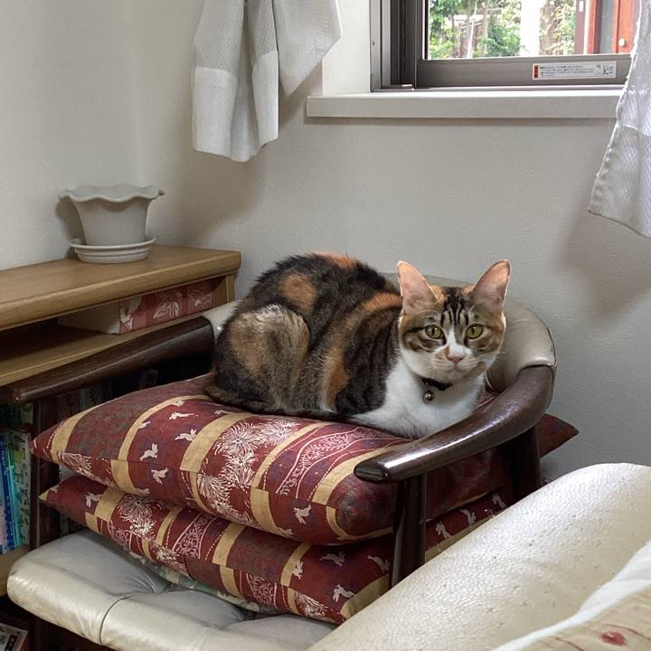 389dd246 ce10 4914 954d 7a8afd5da2f8 1664779694024