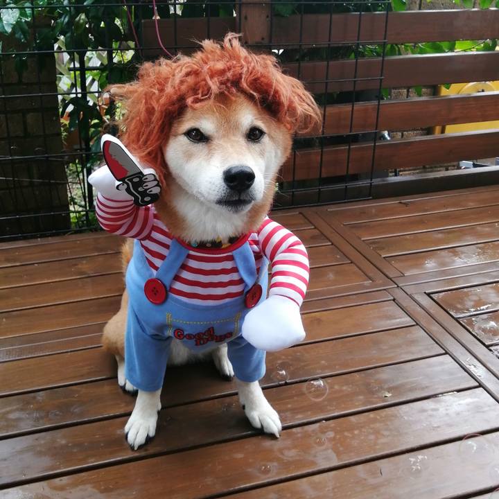 389de89e 1af4 4005 b7e9 07e735a482ef 1631153657501