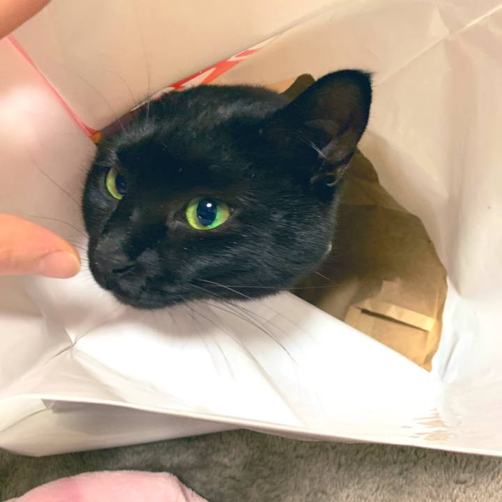 389e1d53 a887 4bda 808b df500c5e8a42 1549724699746