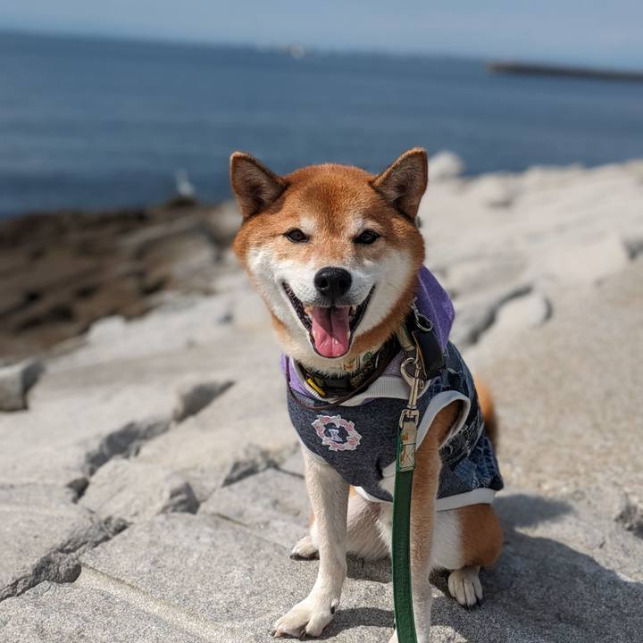 389e56c6 22c5 4fe0 97f5 6084f5952875 1696252654093