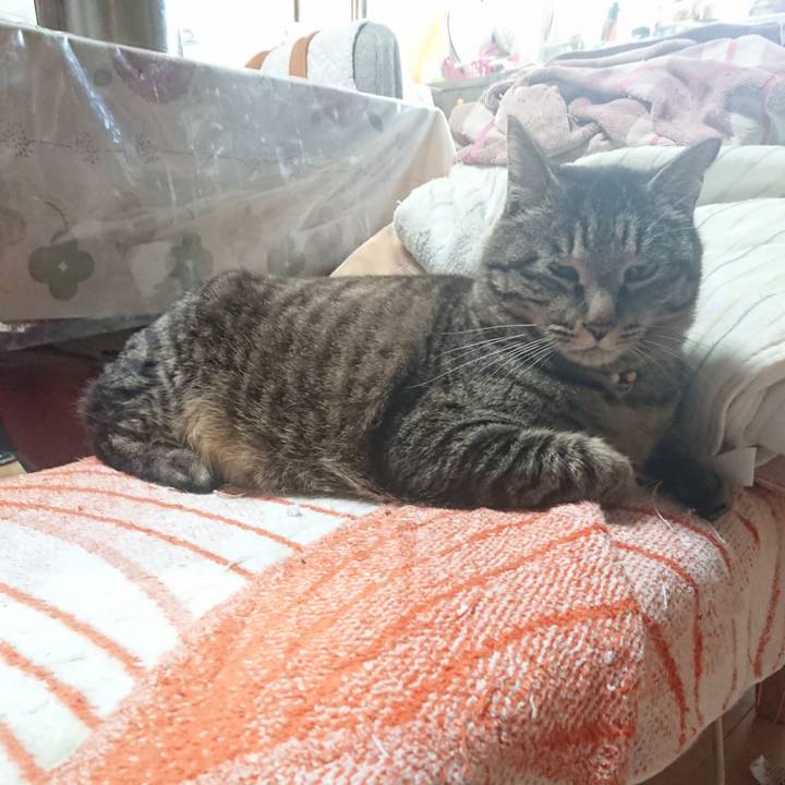 389e5e72 82b0 49d4 9bc2 51793db236fd 1648935863520