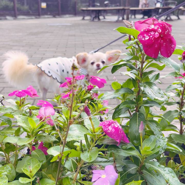 389e60be a633 4e45 ad11 db0912d63cbd 1759629579440