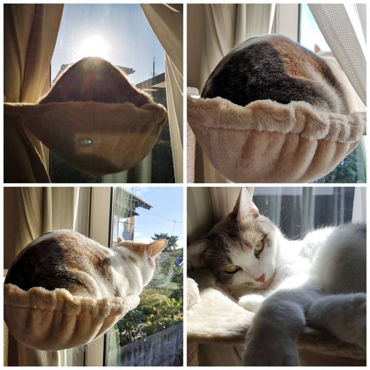 389e6303 7b55 41c0 a2b4 695b5a8d416d 1603683992920