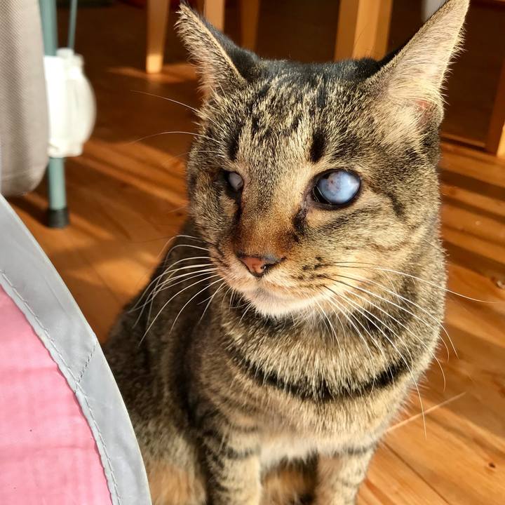 389e65e1 e83e 41f6 bb2d 35560c10320c 1545360966681