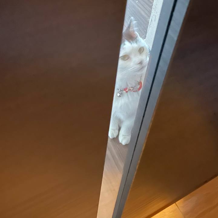 389e8d1e 9aba 4275 859b d394448fe1f8 1732591586324