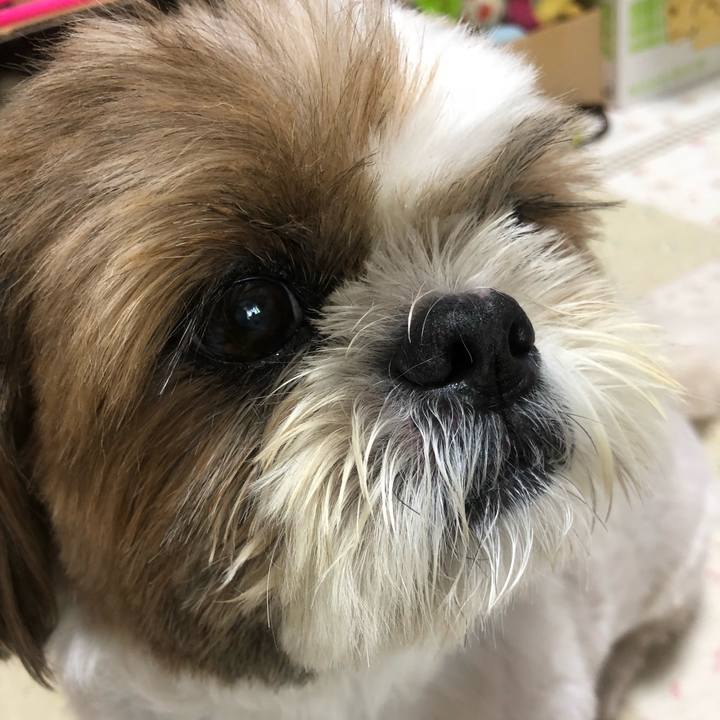 389ec1cb 8265 4a0f 863d 4551827e8bca 1532829710672