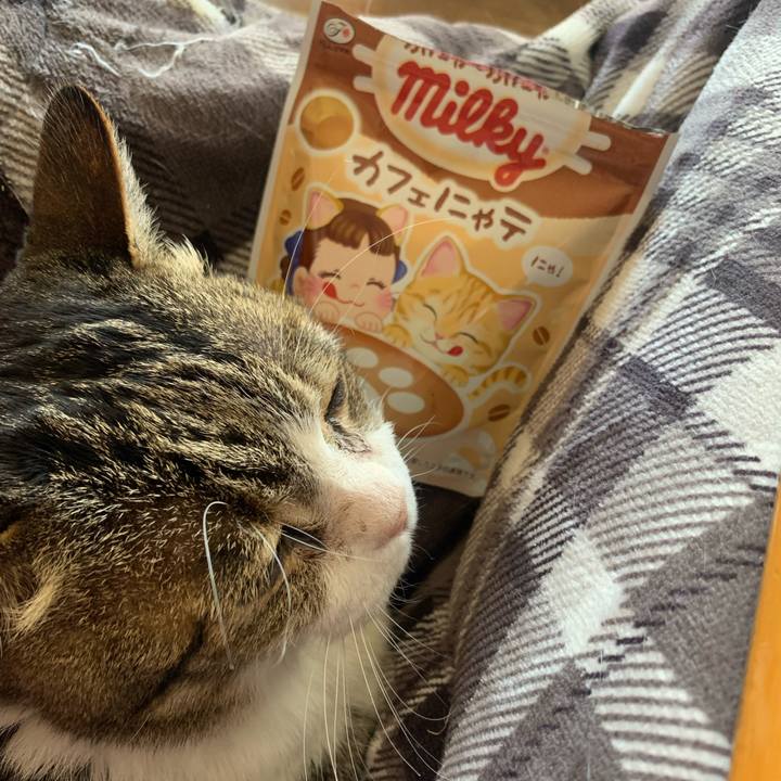 389ee360 d973 4a9d ad41 573366410899 1740483674664