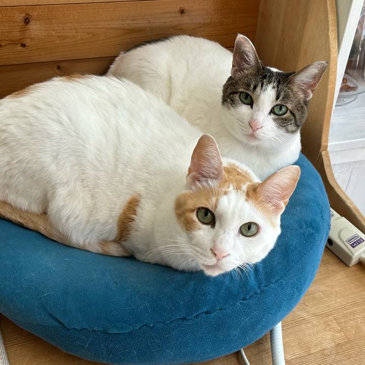 389f3798 995e 423d 900e bd7ffb7dcb6e 1676164683854