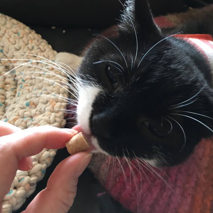 389f8839 a23c 4518 ac9f fa4715bd7562 1596524640933