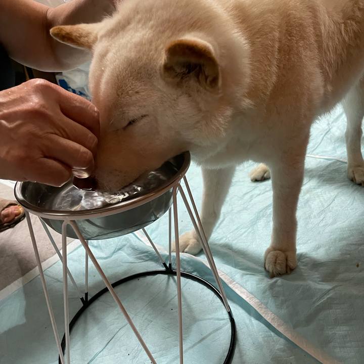 389fbcf6 0048 49e6 b6ec d4f53cc8db51 1633874788481