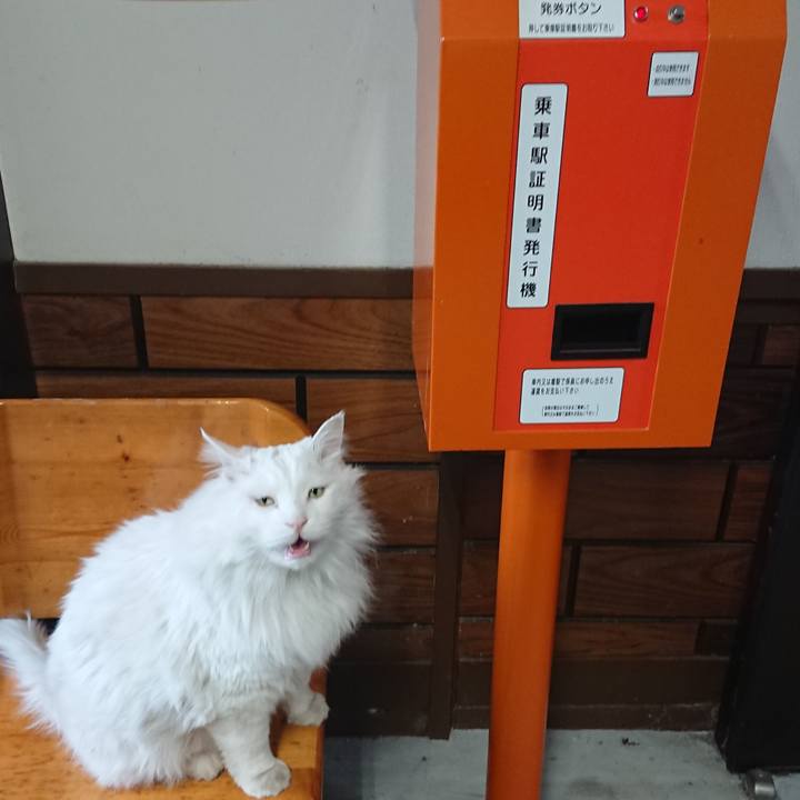 389ffe8e 6e93 4e71 881b c16dbf1511a1 1519683550500