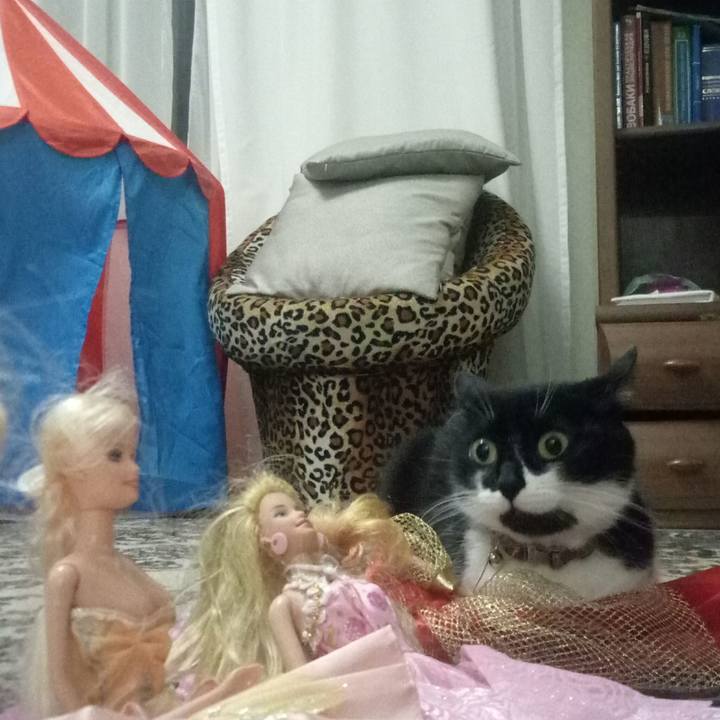 38a016bc 15db 497f 99b1 407f9f37ba52 1546193726037