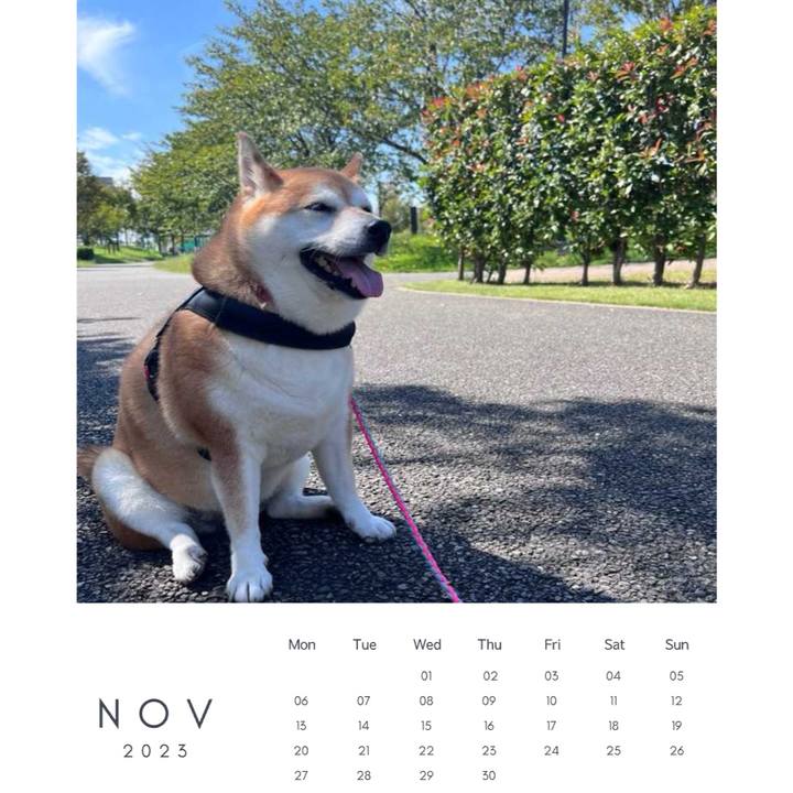 38a03243 1787 4b98 bc36 10f6be889823 1699514179439