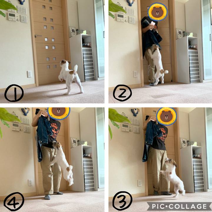 38a03347 fe12 4865 ab1b e12153a1e339 1572152171836