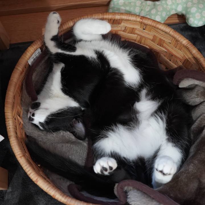 38a048c1 786e 4f0d 85bb 91a210242bbe 1587301302962