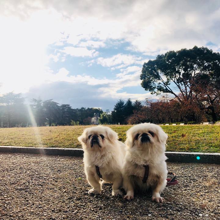 38a0523d b8bb 4401 8bf4 b952402c055c 1575531890501