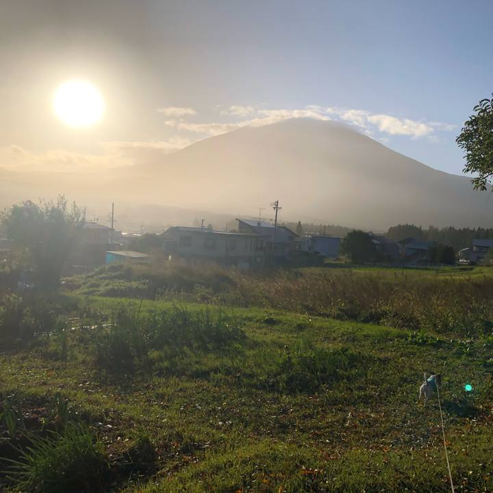 38a05365 8f3f 49a3 9659 6566d3c76967 1570964663197