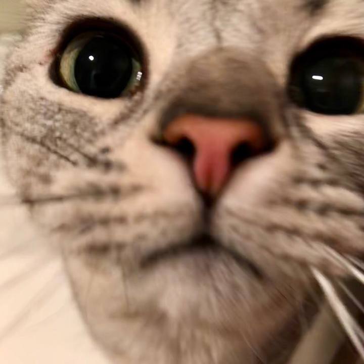 38a07825 eb12 4131 a149 02eb12a7f785 1519453015608