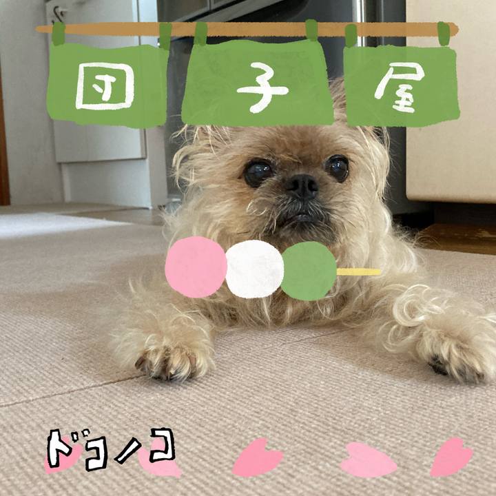 38a078d6 5bc5 495b 8e7b 0c09ee5bb413 1712224725844