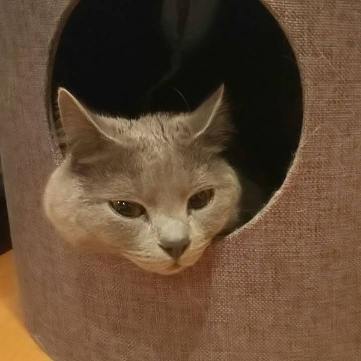 38a09296 ee29 4cd4 a38a 0f53f8be2cc2 1583134005263