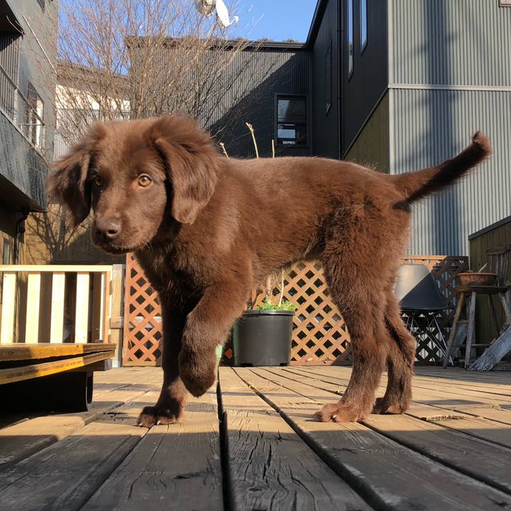 38a0b43b e544 4fbc 869b 84062315044a 1553063198842