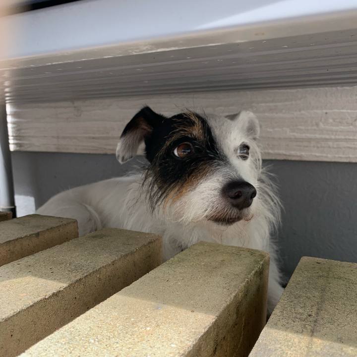 38a0dacb 2c02 4e83 96e5 a12adcd39c03 1655775612191