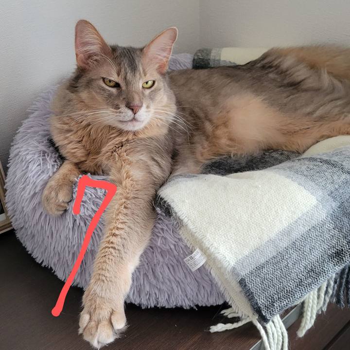 38a0e292 bc9c 4d0e a4ba 0e1953b7a14e 1686104042123