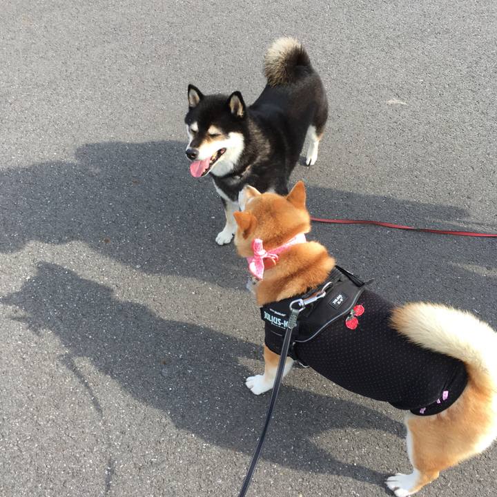 38a0fdff c3e7 4fb2 a2e4 130e8bc3c3b3 1531435739188