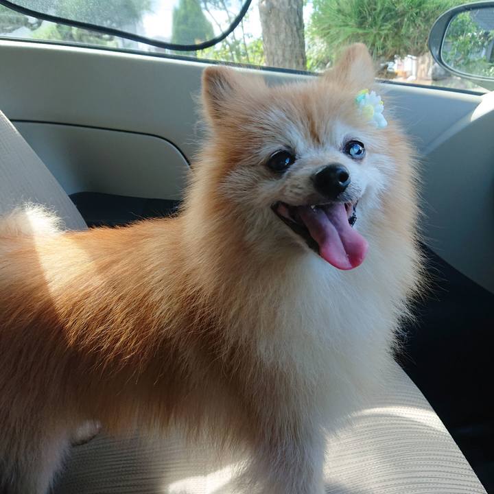 38a1100a 83a1 4ad9 9285 0b914dd1b6b3 1599109294600