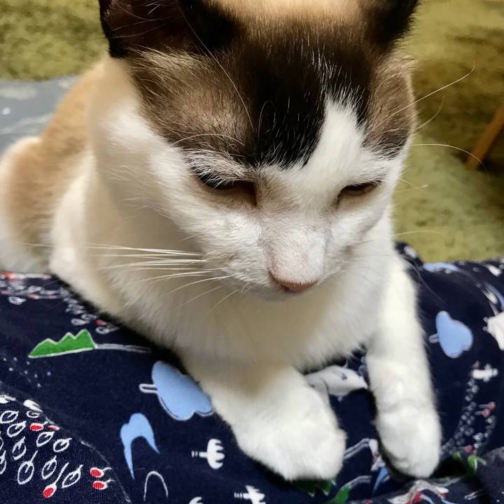 38a11fed 214b 4e36 9ad7 f37d02c6e8d5 1591965116540